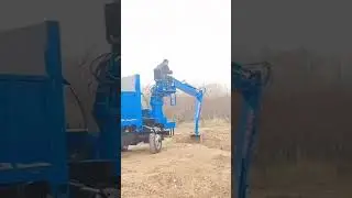 Dancing crane