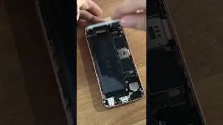 iPhone 6s in 2024 💕🌸🌷💖🐽🎀🦩🎀