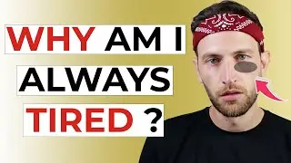 Why Am I Always Tired And Have No Energy?