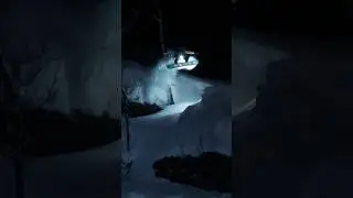 Pillow drop from «Green Hour» 🐲full video playing on @MonsterEnergy channel