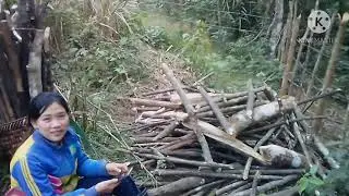 Txiav taws npaj peb caug xyoo tshiab