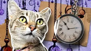 I HYPNOTIZED MY FRIEND’S CAT IN 72 HOURS