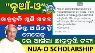 Nua O Scholarship Payment No Message || Nua Scholarship Payment Received || Nua O Scholarship