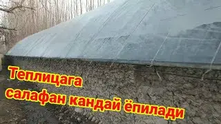 Teplisaga salafan plyonka qanda yopish kerak