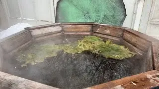 Сила бани. Прямой эфир из чана с вениками