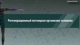 Регенерационный потенциал организма человека. Величко М.В.