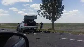 Дтп Херсон обл. Новотроицкий р-н.  с. Чкалово