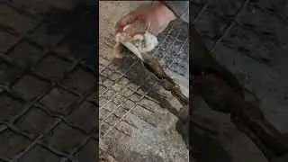 copper pot tinning  