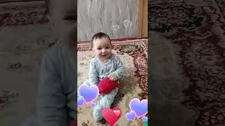 tülkü balasi #uşaqvideoları #baby