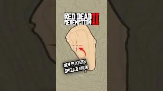 Every New Player Missed These Items In RDR2 