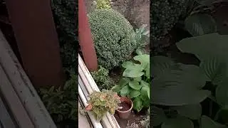 Вот и 🍁осень.