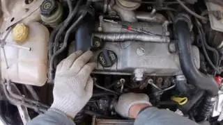 Glow Plugs replacement Ford Transit Connect