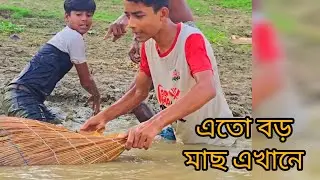 কত বড় মাছ এখানে দেখুন।