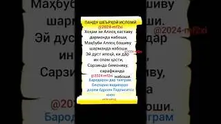 Ахли хирад/чор мисра #хирад