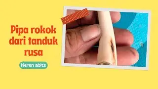 cara bikin pipa rokok dari tanduk rusa