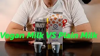 Vegan Milk VS Plain Milk | in hot drinks.