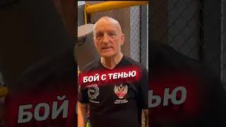 Бой с тенью. 
