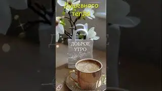 "Доброе утро" 279