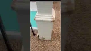 Elf on the shelf day 18