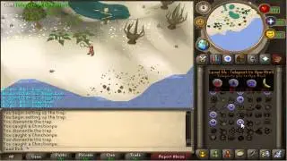 1-99 Hunter Guide | Soulsplit| 247soulsplit| HQ