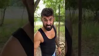Архив