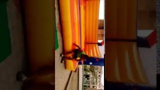 Упс нежданчик