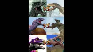 Which team is the winner ? Team Gigantosaurus VS Team Tarbosaurus  