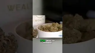 A Healthy Approach To Drugs