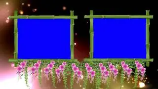 Dual Blue Screen Animated Wedding Frame Video