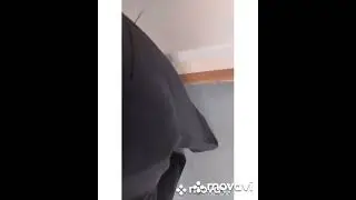 "Теплый прием" матерей в стенах военкомата...