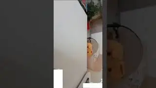 загадка от Пса-блогера