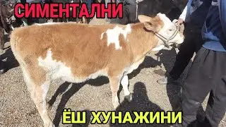 ANDIJON ASAKA UZBEKISTON MOL BOZОRI,ASAKA MOL BOZORI 2021,АНДИЖОН АСАКА УЗБЕКИСТОН МОЛ БОЗОРИ 2021