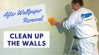 Castle Complements Painting – After Wallpaper Removal, Clean Up the Walls!