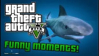 GTA V | Funny Moments and Cool Clips!