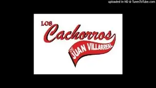 Los Cachorros de Juan Villareal corridos