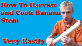 How To Harvest And Cook Banana Stem Very Easily (2020)