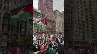 MASSIVE Pro-Palestine Protest In Chicago 