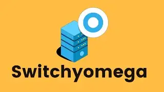 Switchyomega: How to Set It up & How Does It Work?