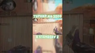 ТУРНИР НА 3000 ГОЛДЫ ПО СТАНДОФФ 2! ГОЛДА В СО2! Братишка 