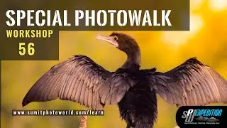 Special Photo Walk Workshop 56 | SPW Expedition