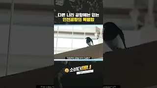 다른 나라 공항에는 없는 인천공항의 특별함