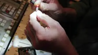 How to Tree Sound - Lights