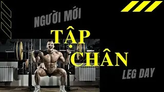 Leg Day Beginner | Dont Skip Leg Day