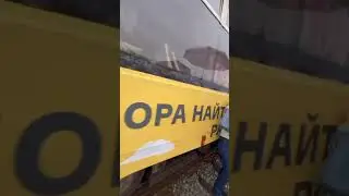 6 июня 2024 г.
