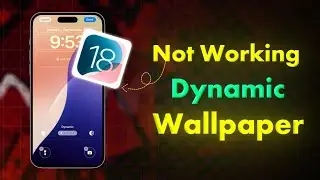Fixed : How to Fix Dynamic Wallpaper iPhone not Working, iOS 18