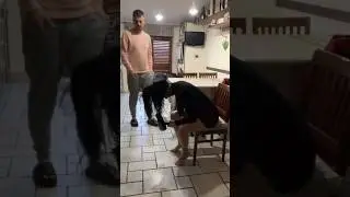 FINAL EPICO! Diversión Asegurada! 😋 🤣 Videos de Risa #shorts #tiktok