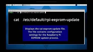 You can change the Raspberry PI Bootloader firmware release version.