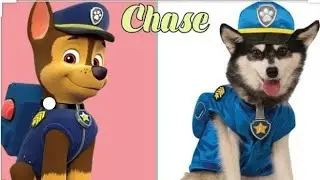 Paw patrol Cartoon🐰🐿️ | Character in real life | 2020 |