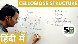 Cellobiose structure in Hindi