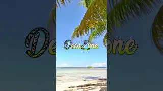 Desckom x Dess x Aliyah - BING BING (Remix 2023)